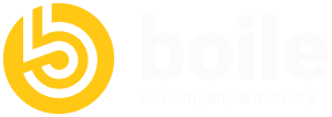 Bharat Fritz Werner Logo